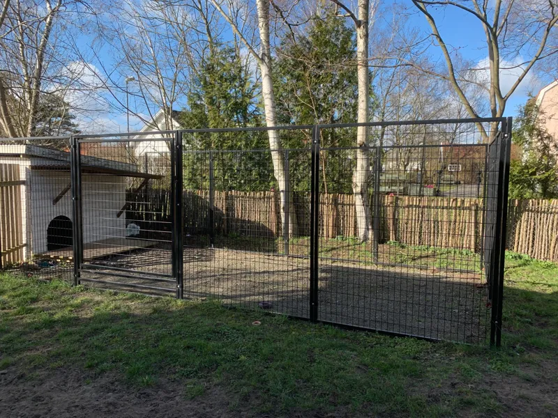 Tänk på detta innan du bygger hundgård i trädgården